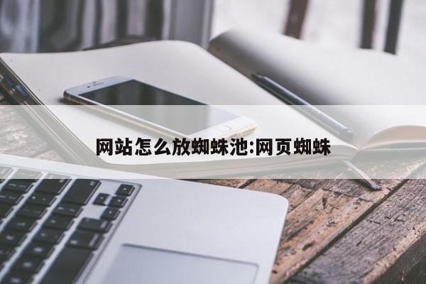 网站怎么放蜘蛛池:网页蜘蛛